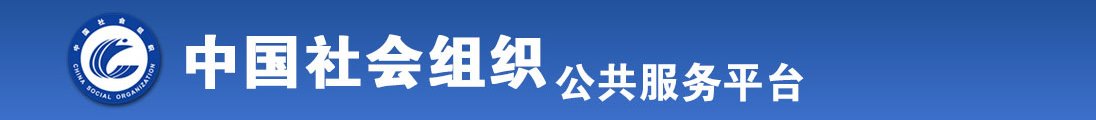 肏b肏穴全国社会组织信息查询